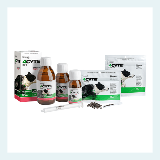 4Cyte Epitalis Forte joint supplement for dogs
