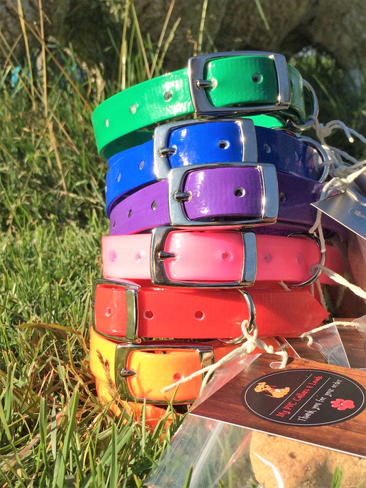 Collars - ready go go!