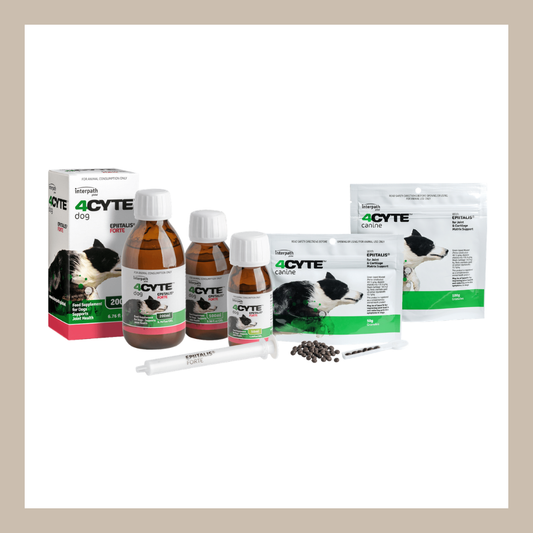 4Cyte Epitalis Forte joint supplement for dogs