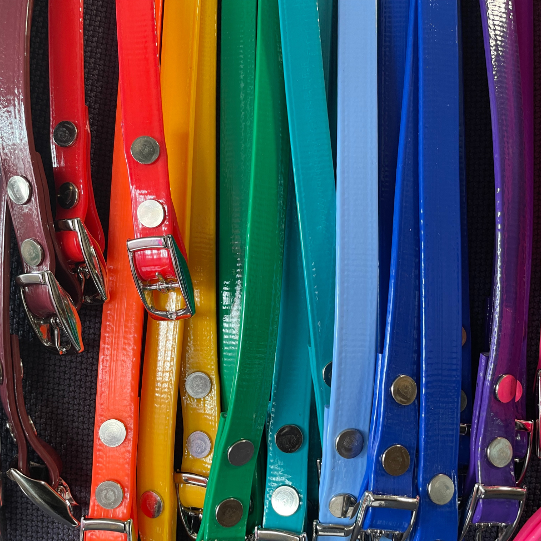 ID Collars