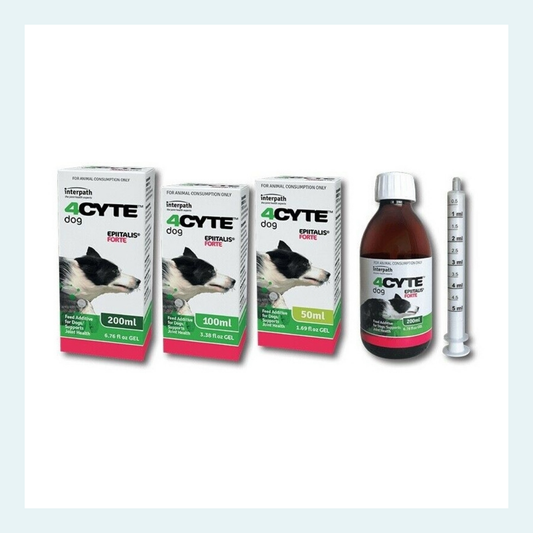 4Cyte Epitalis Forte joint supplement for dogs