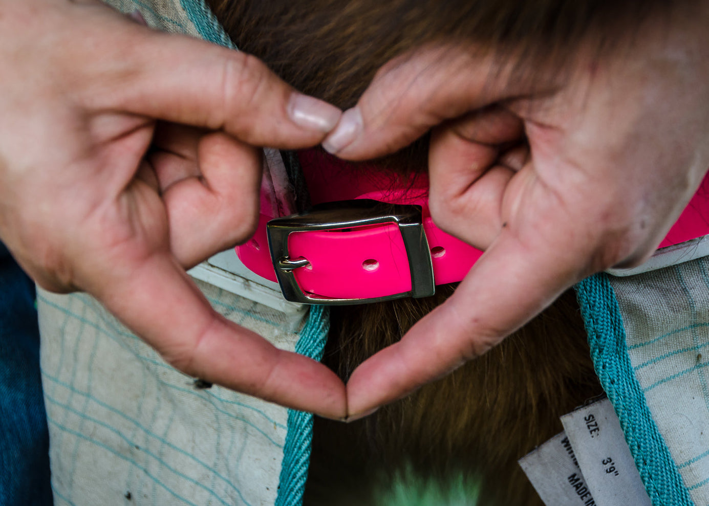 Australian made PVC horse gear