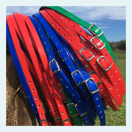 Horse ID Collars - bundle