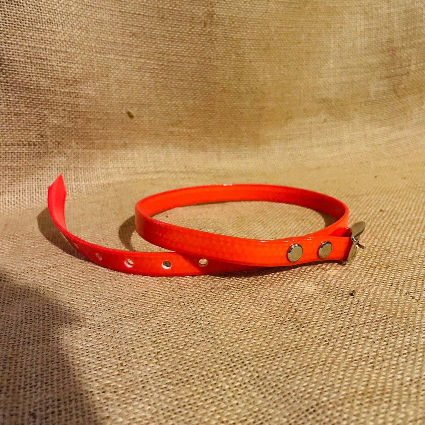 ID Collars - ready to go!