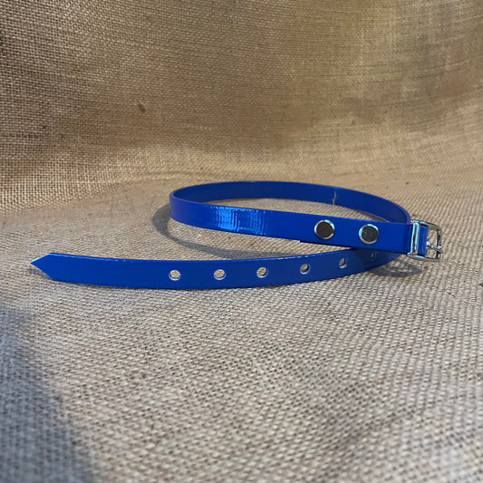 ID Collars - ready to go!