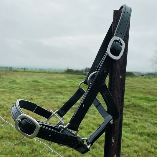 Halters - bundle