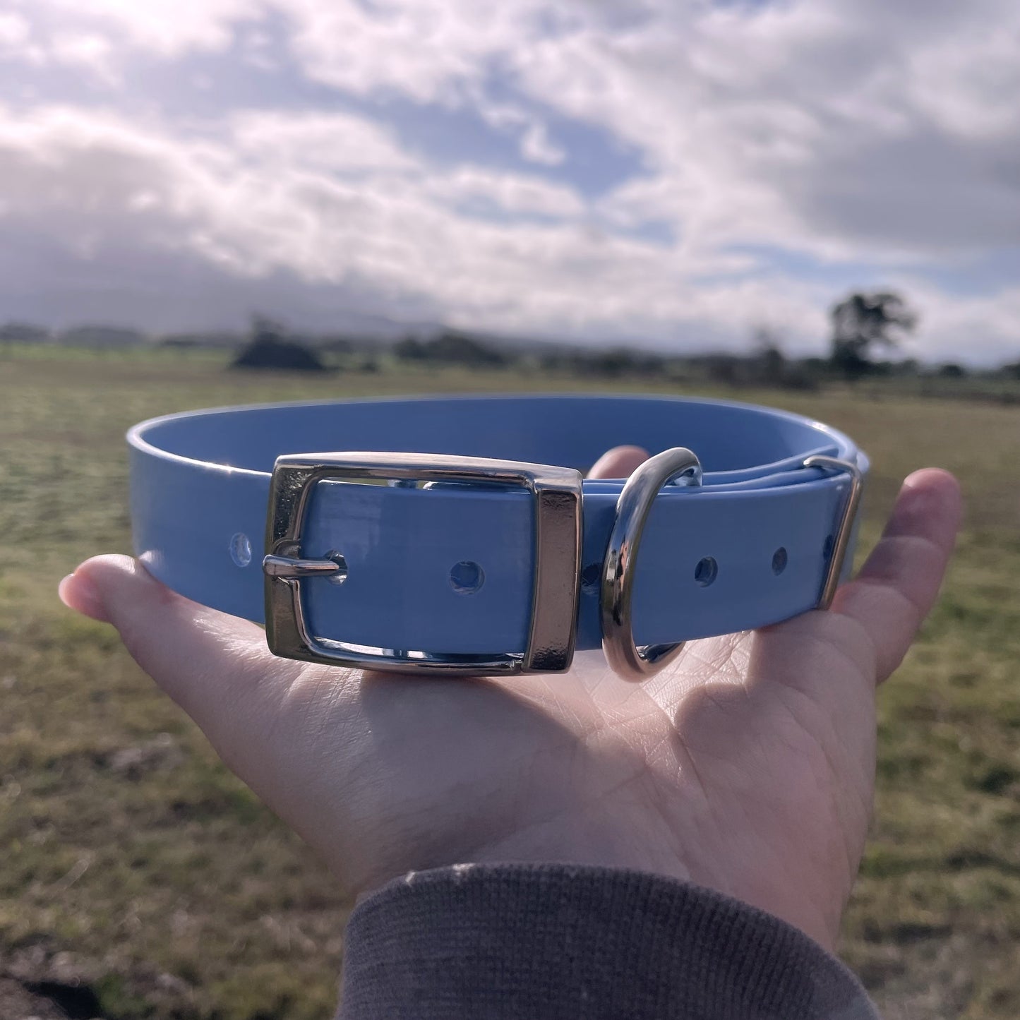 Collars - ready go go!