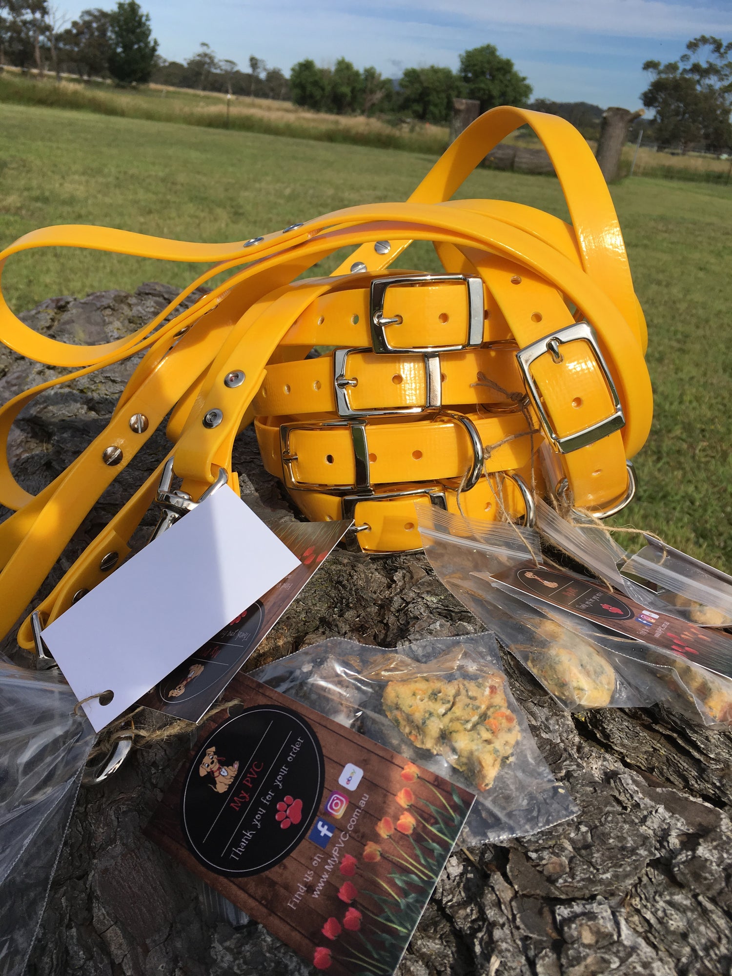 Dog Collars & Leads