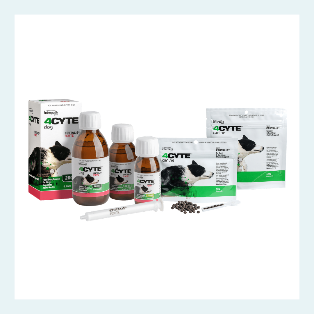 4Cyte Epitalis Forte joint supplement for dogs