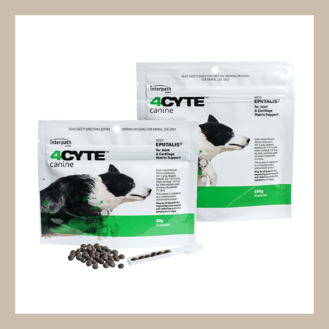 4Cyte Epitalis Forte joint supplement for dogs