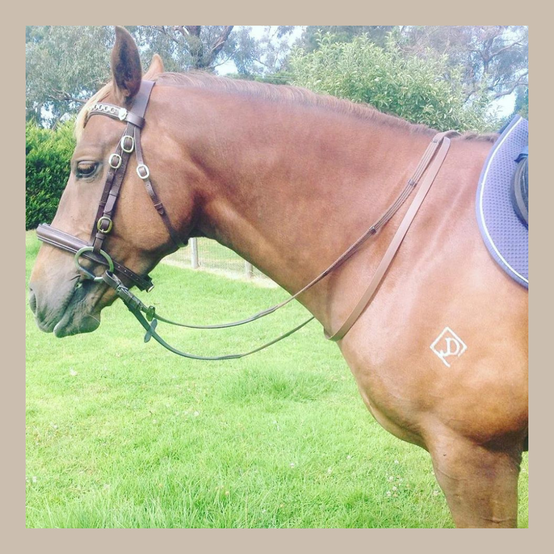 Horse Neck Straps