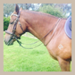 Horse Neck Straps