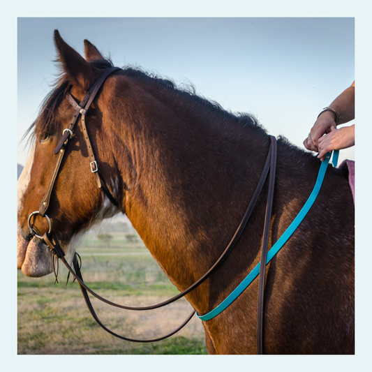 Horse Neck Straps