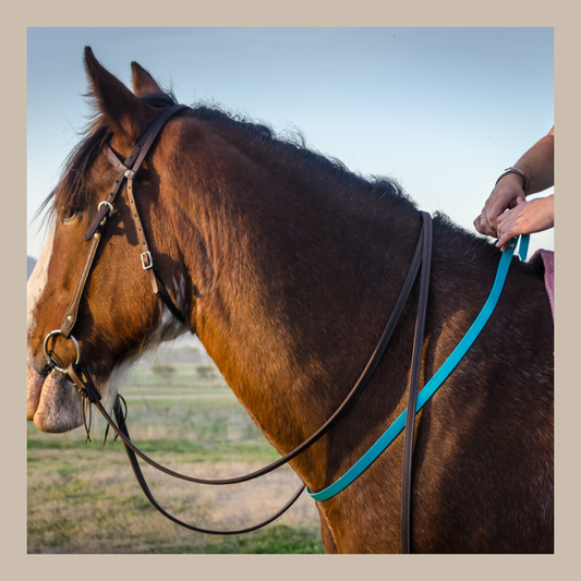 Horse Neck Straps