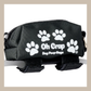Dog Poop Bag Holder