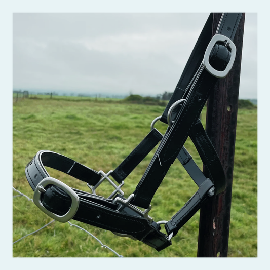 Halters - bundle