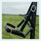 Halters - bundle