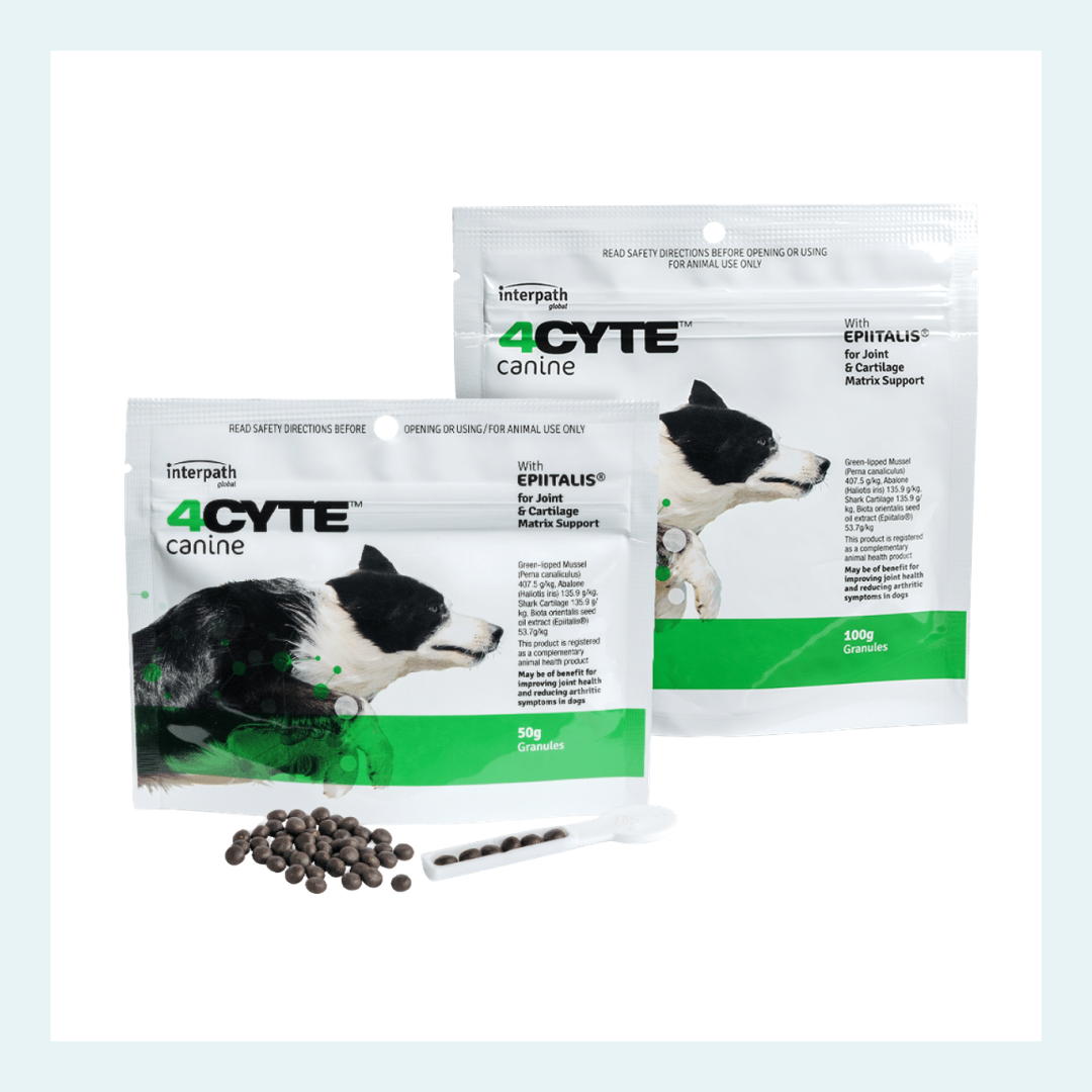 4Cyte Epitalis Forte joint supplement for dogs