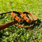Leather Dog Leads