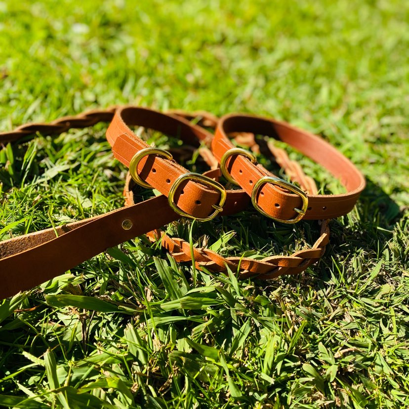 Max+Mae.co Leather Dog Collars