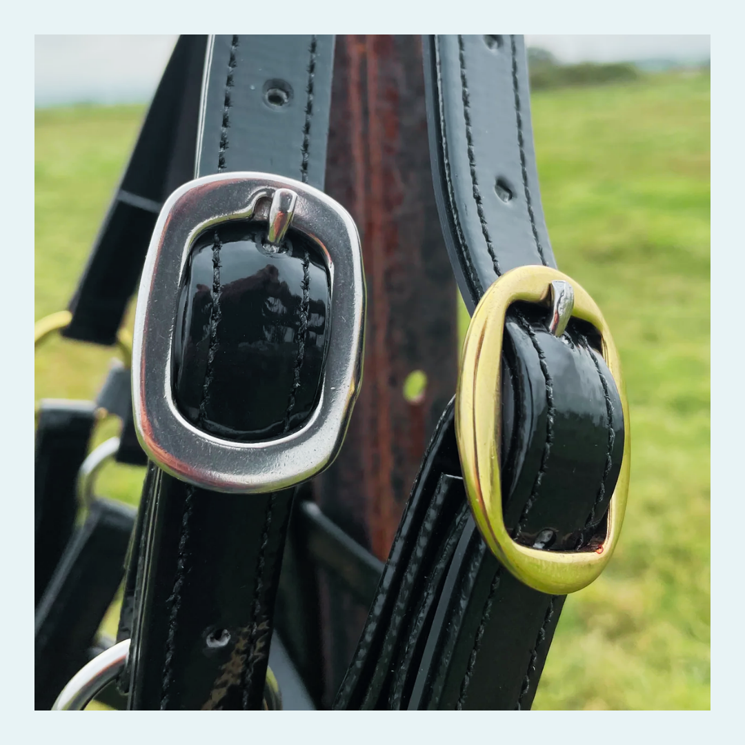 Halters - bundle