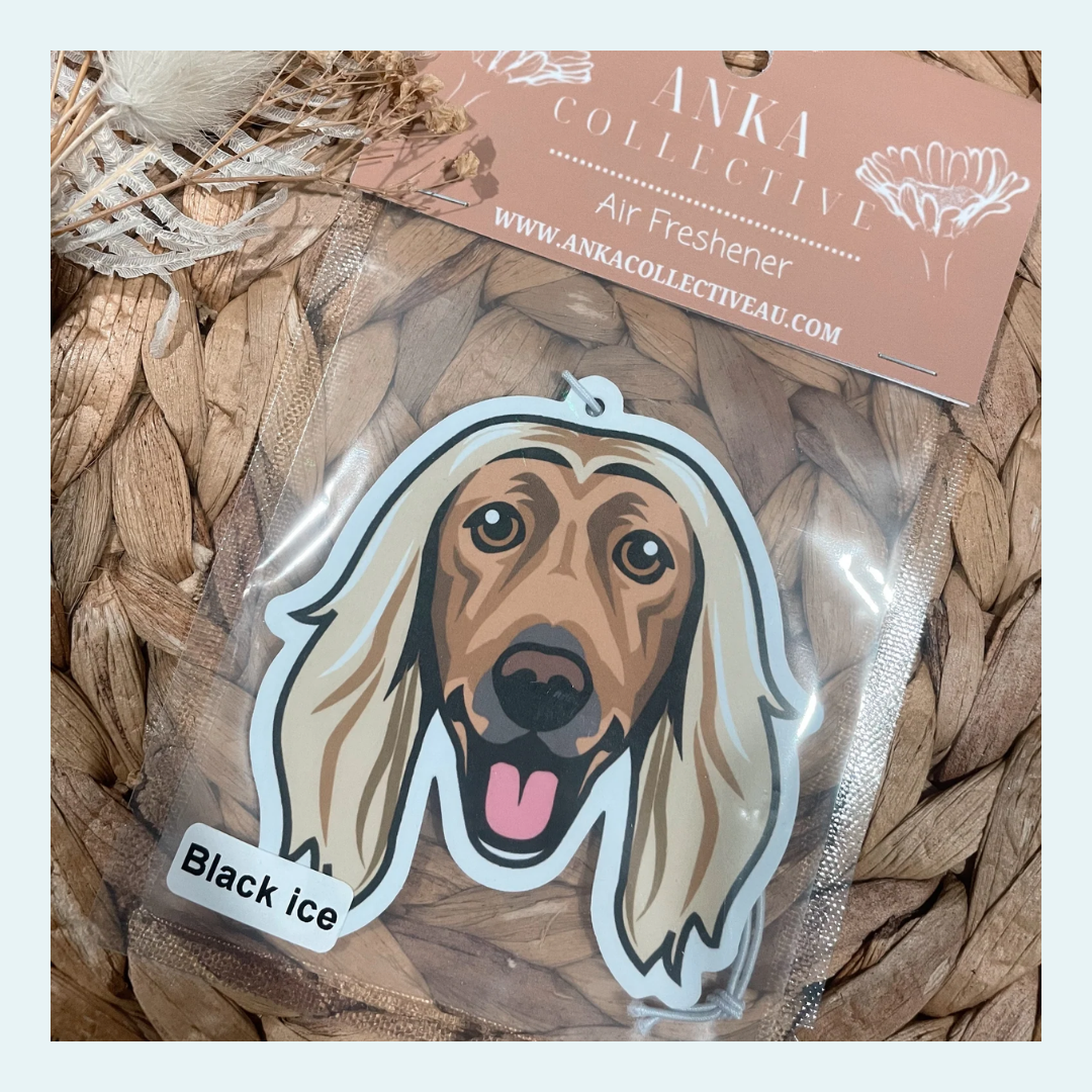 Afghan Hound