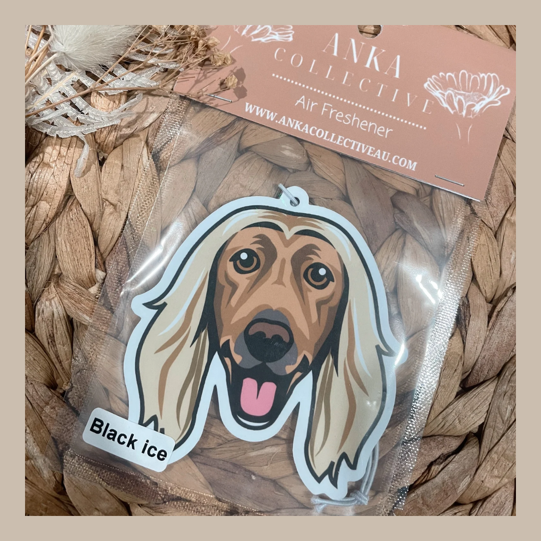 Afghan Hound