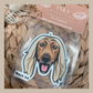Afghan Hound