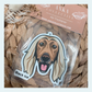 Afghan Hound