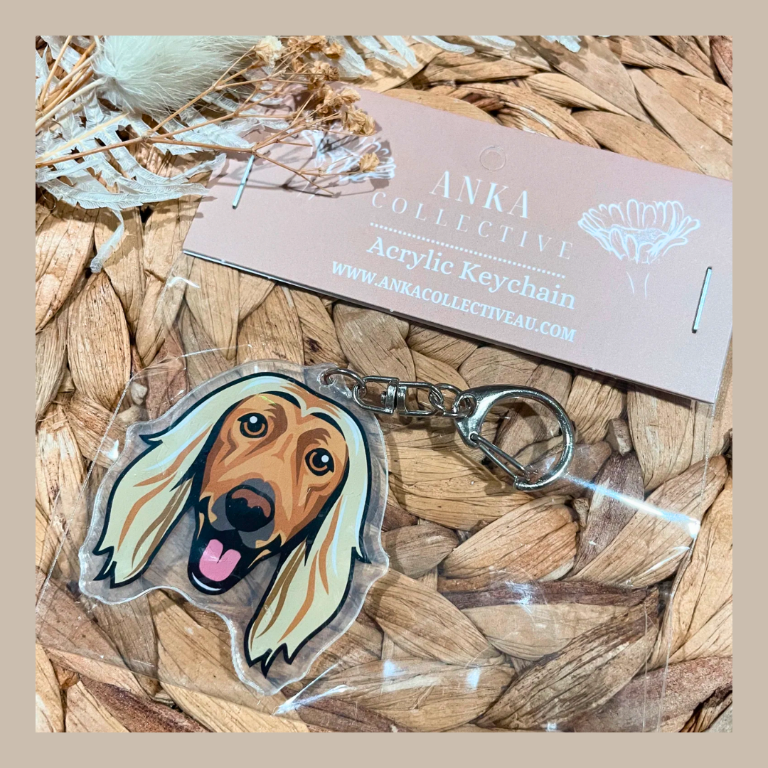 Afghan Hound