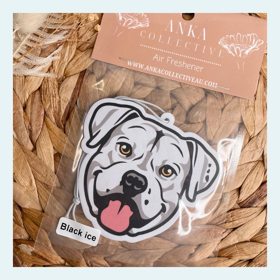 American Bulldog
