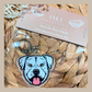 American Bulldog