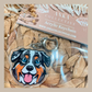 Aussie Shepherd Tri Colour