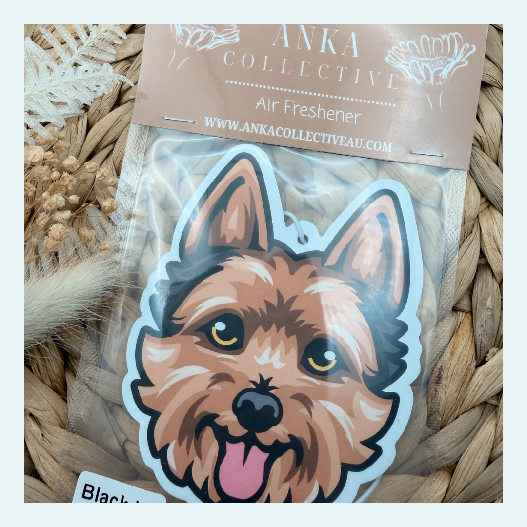 Australian Terrier