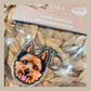 Australian Terrier