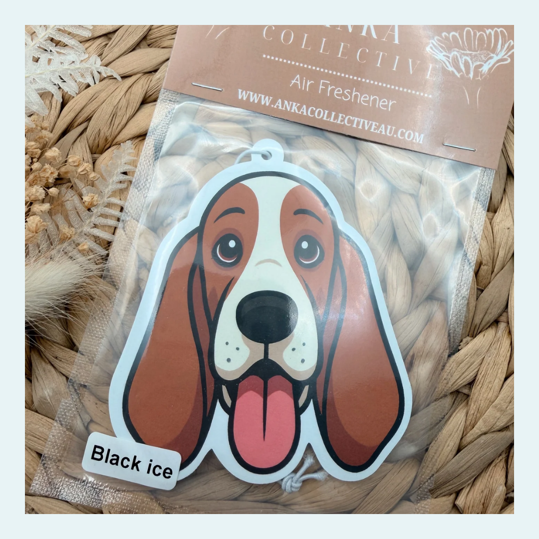 Basset Hound