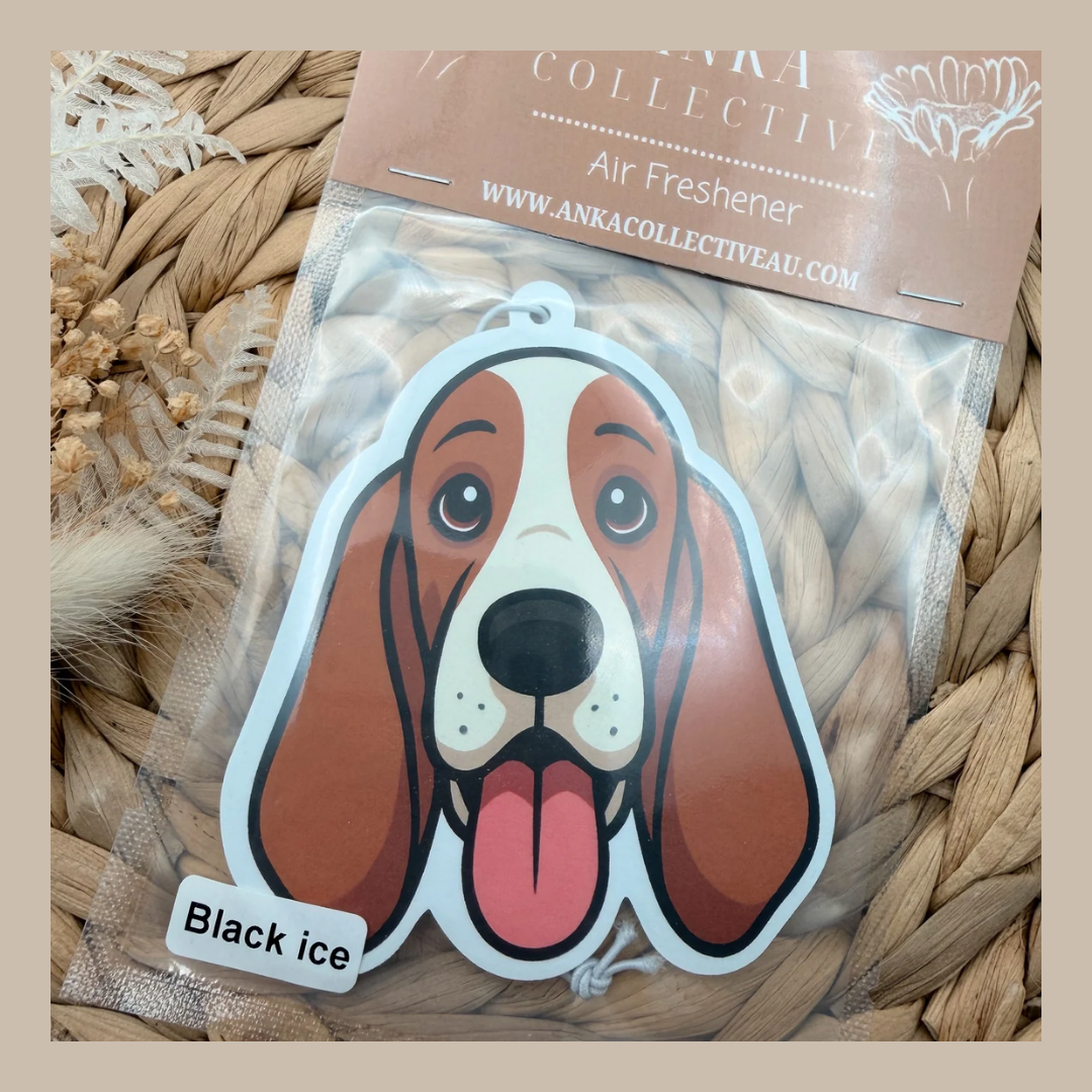 Basset Hound