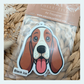 Basset Hound