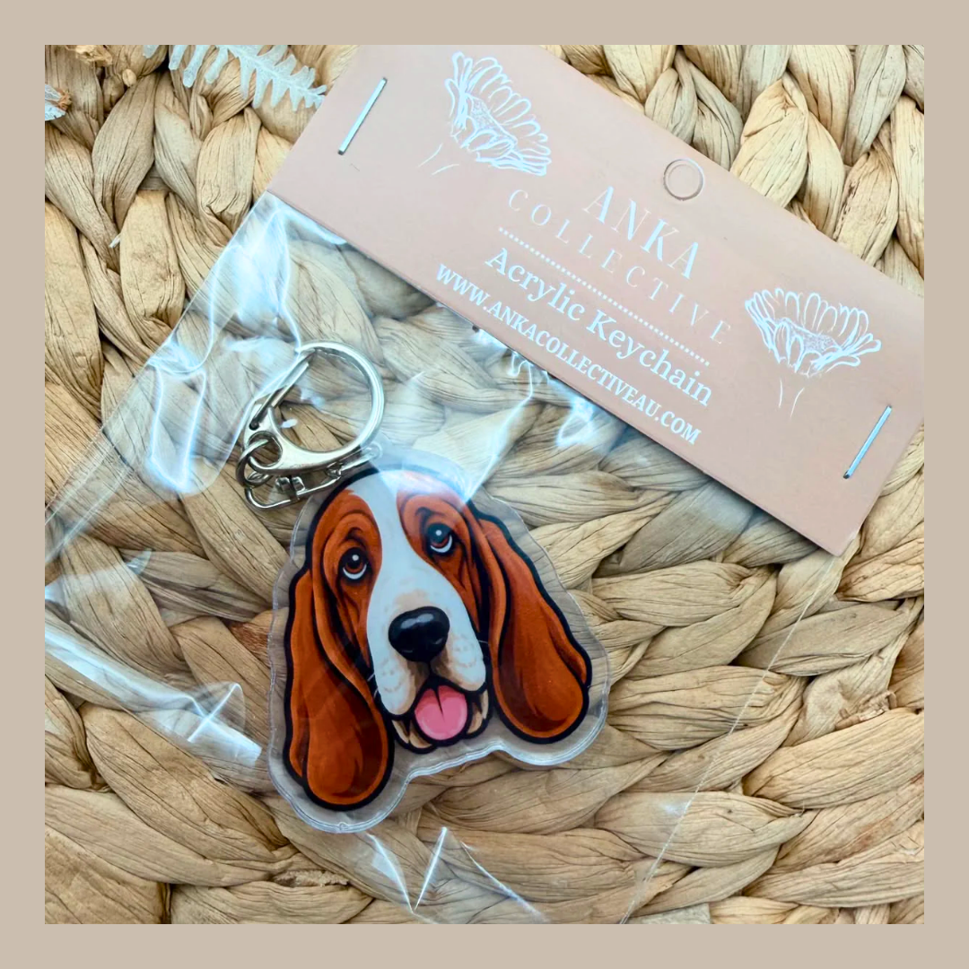 Basset Hound