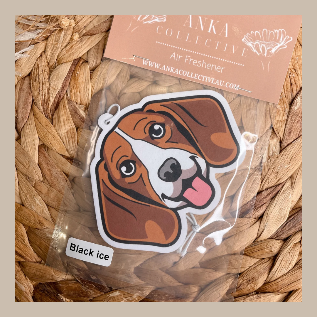 Beagle
