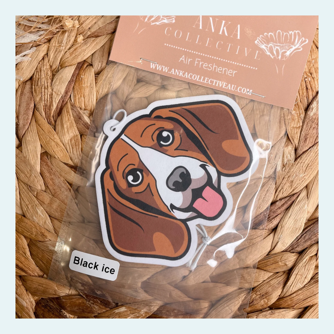 Beagle