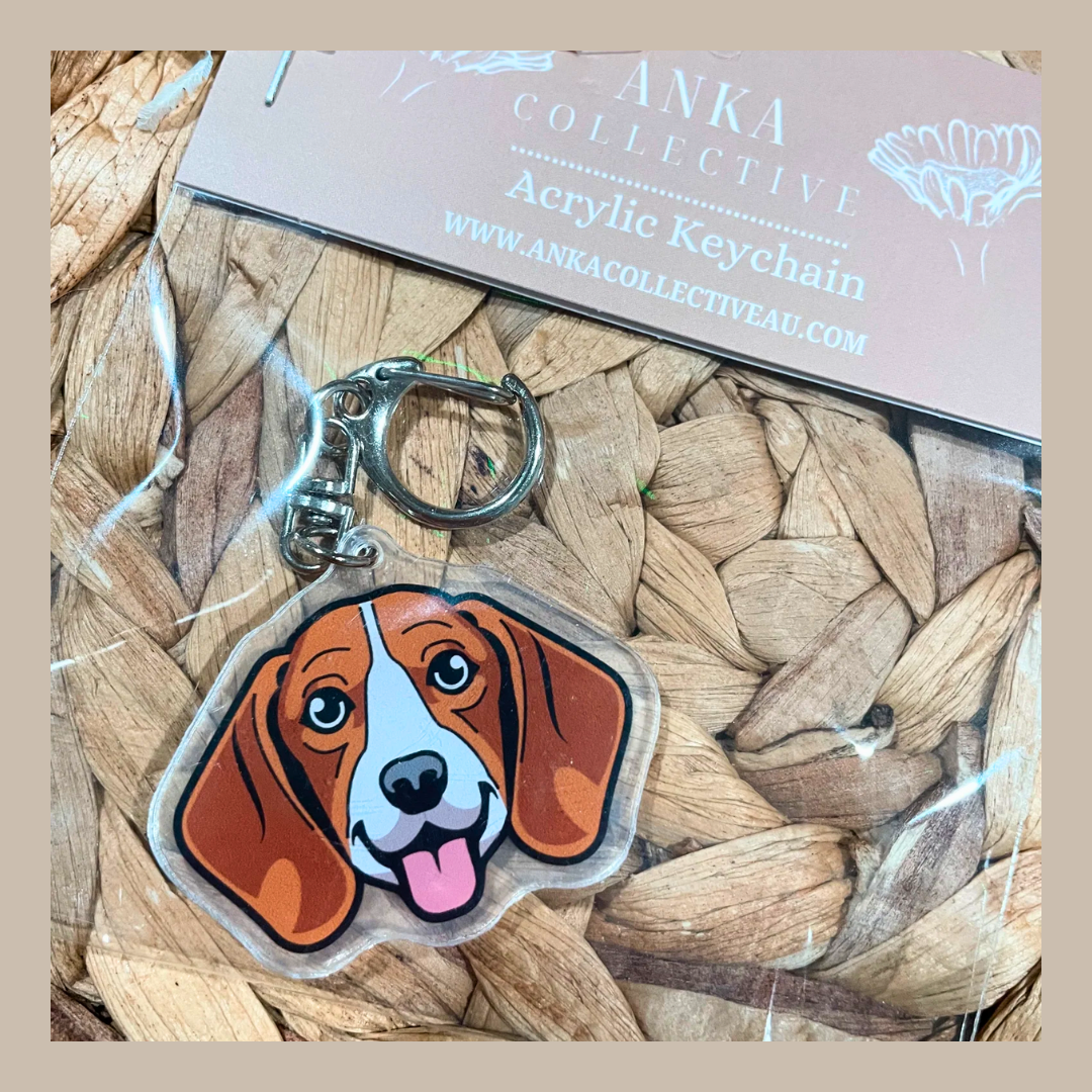 Beagle