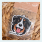 Bernese Mountain Dog