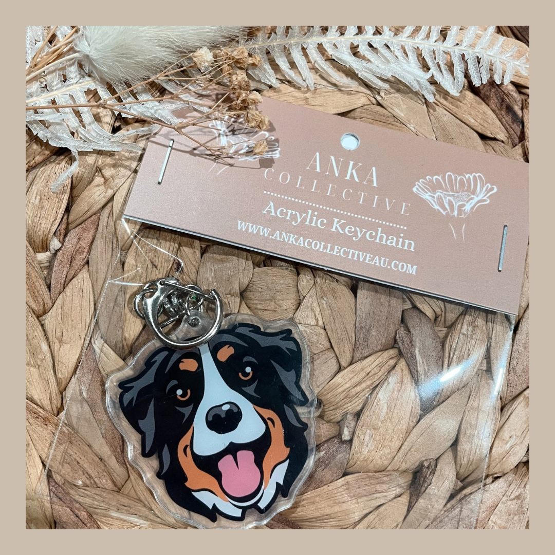 Bernese Mountain Dog