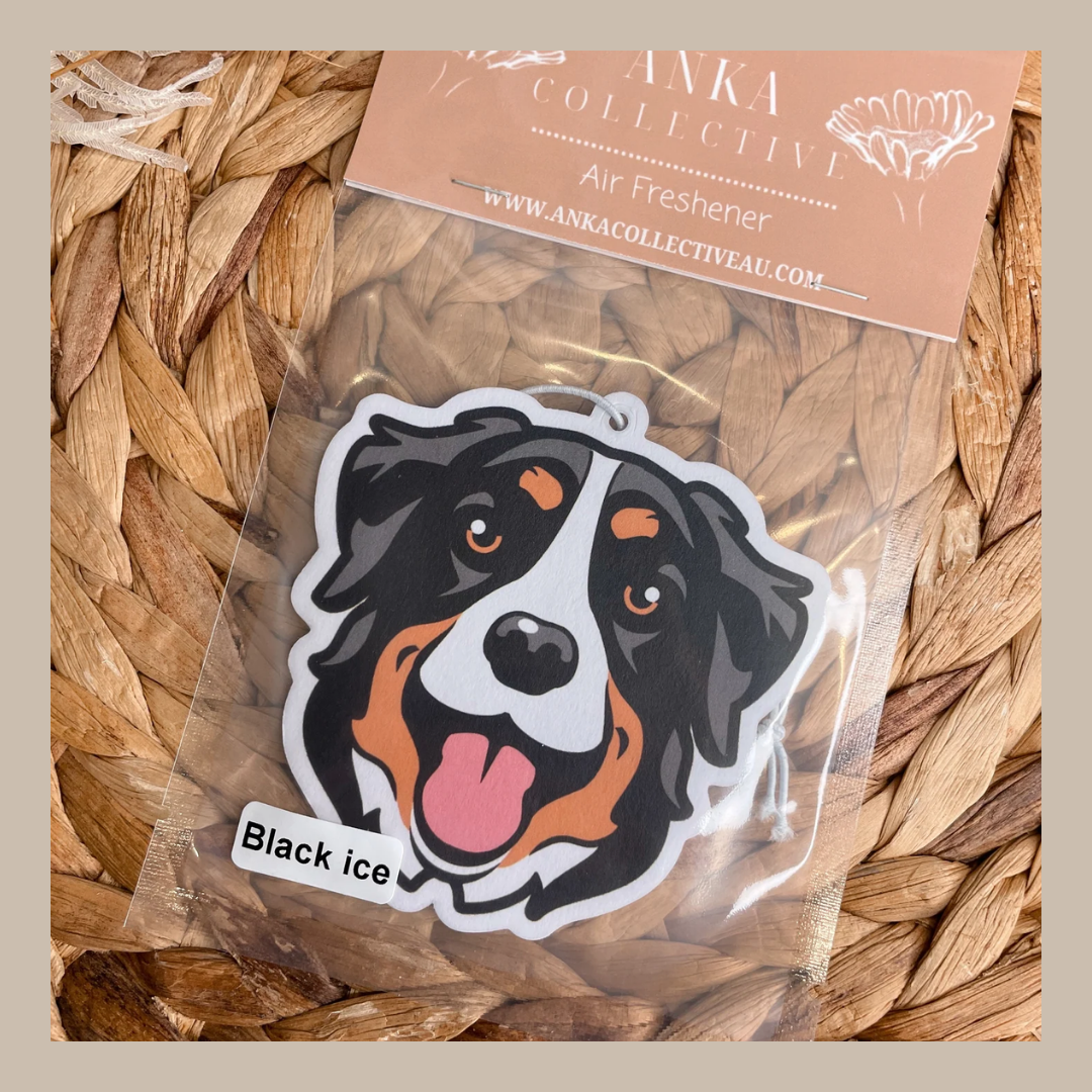 Bernese Mountain Dog
