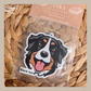 Bernese Mountain Dog