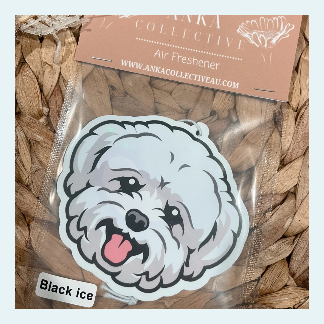 Bichon Frise