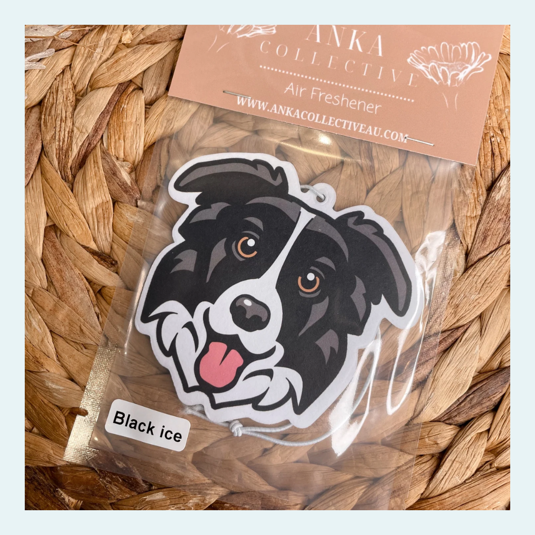 Border Collie Black