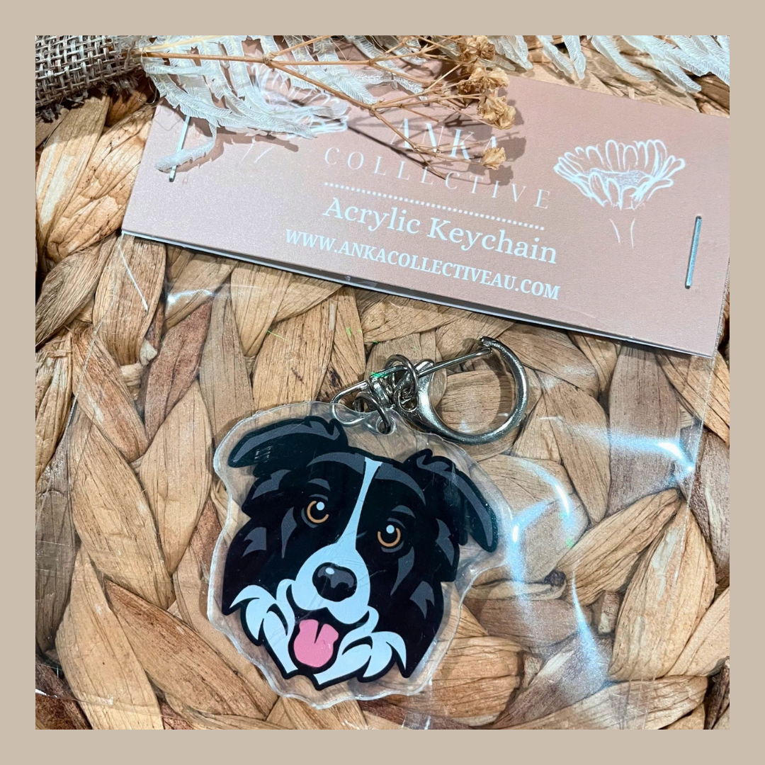 Border Collie Black