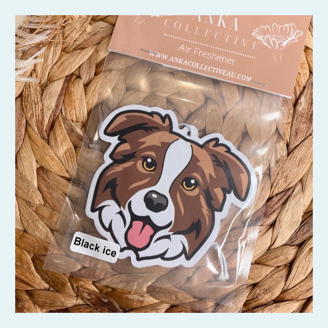 Border Collie Brown